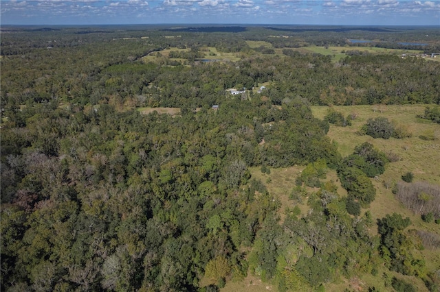 13080 Old Crystal River Rd, Brooksville, FL 34601 - photo 83