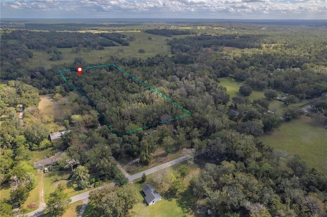 13080 Old Crystal River Rd, Brooksville, FL 34601 - photo 80