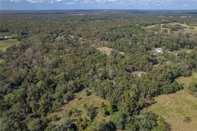 13080 Old Crystal River Rd, Brooksville, FL 34601 - photo 84