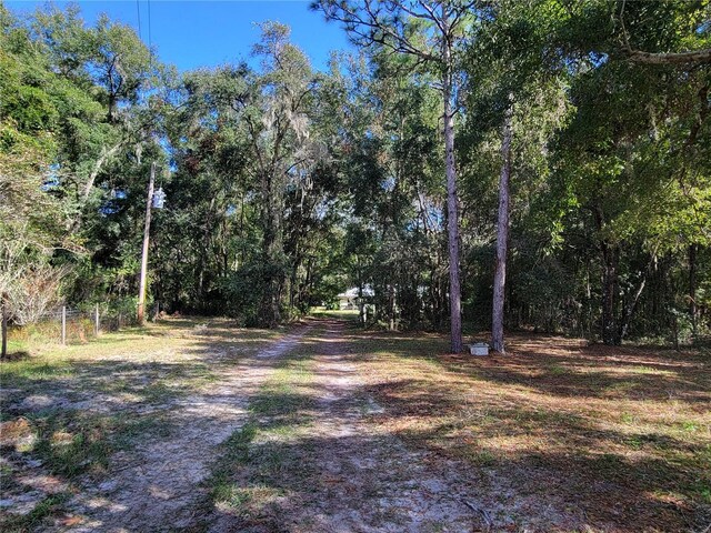 13080 Old Crystal River Rd, Brooksville, FL 34601 - photo 3