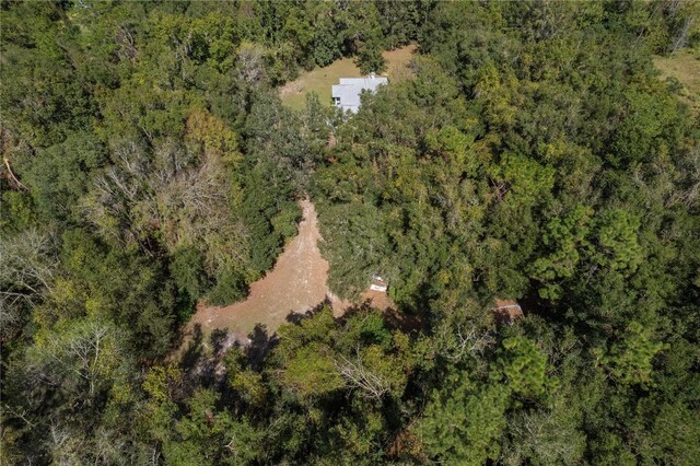 13080 Old Crystal River Rd, Brooksville, FL 34601 - photo 82