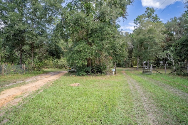 13080 Old Crystal River Rd, Brooksville, FL 34601 - photo 2
