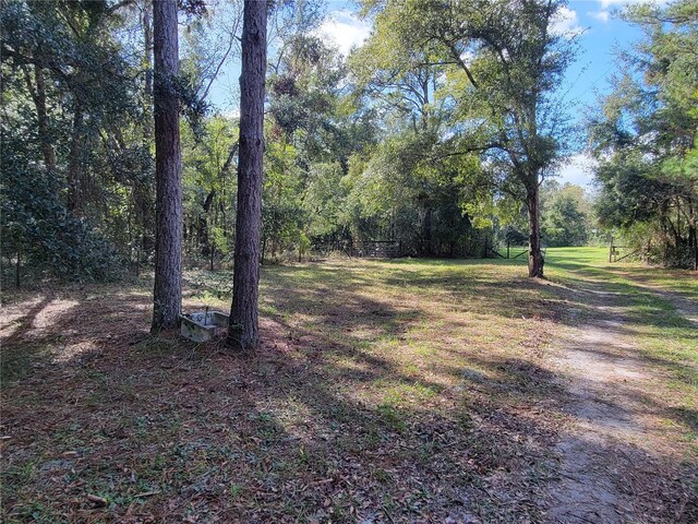 13080 Old Crystal River Rd, Brooksville, FL 34601 - photo 5
