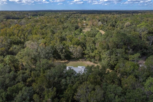 13080 Old Crystal River Rd, Brooksville, FL 34601 - photo 75