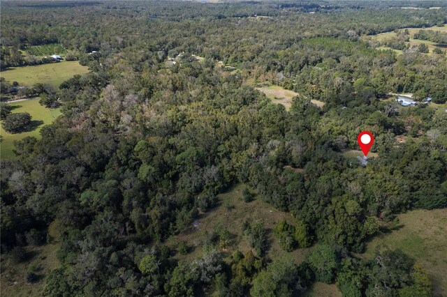 13080 Old Crystal River Rd, Brooksville, FL 34601 - photo 85