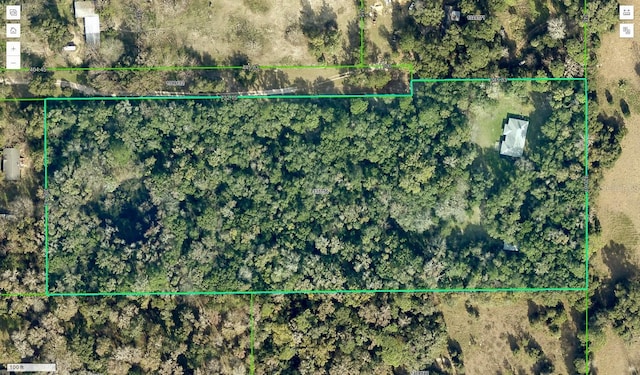 13080 Old Crystal River Rd, Brooksville, FL 34601 - photo 76