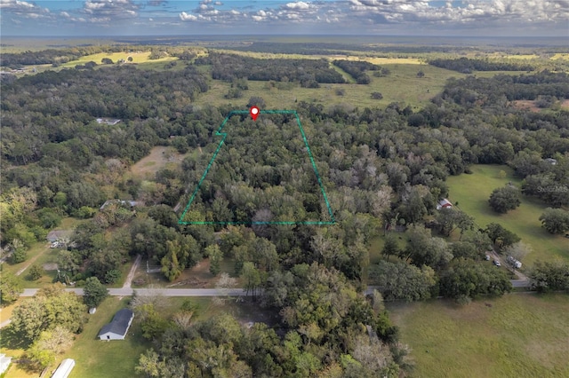 13080 Old Crystal River Rd, Brooksville, FL 34601 - photo 77