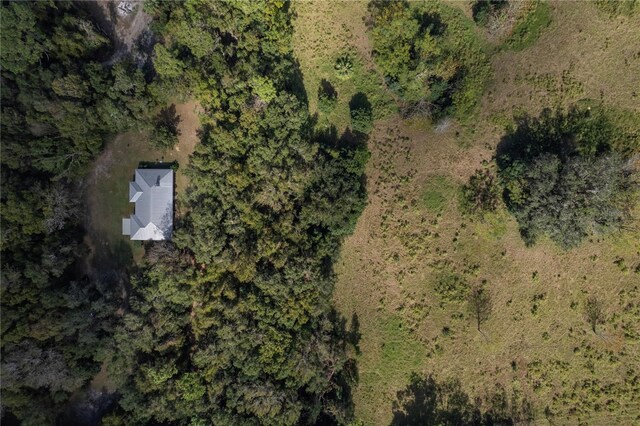 13080 Old Crystal River Rd, Brooksville, FL 34601 - photo 74