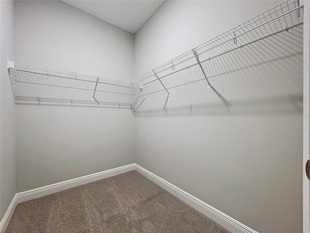 spacious closet with carpet floors