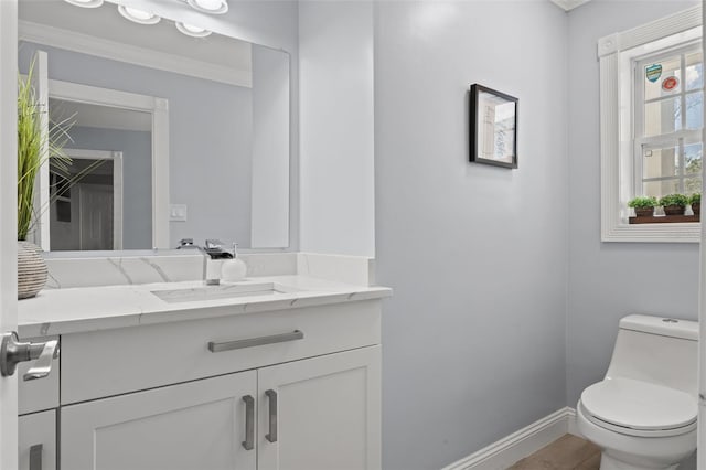 14485 Switch Back Rd, Brooksville, FL 34609 - half bath with vanity, baseboards, toilet, and ornamental molding