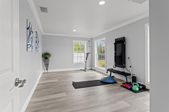 exercise area featuring light wood-type flooring and crown molding