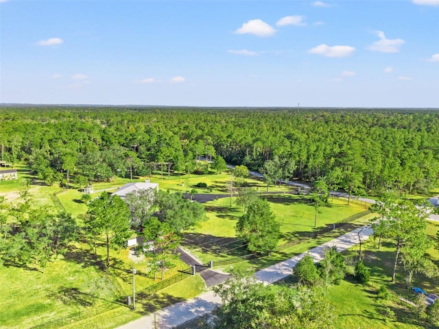 14485 Switch Back Rd, Brooksville, FL 34609 - drone / aerial view of a forest