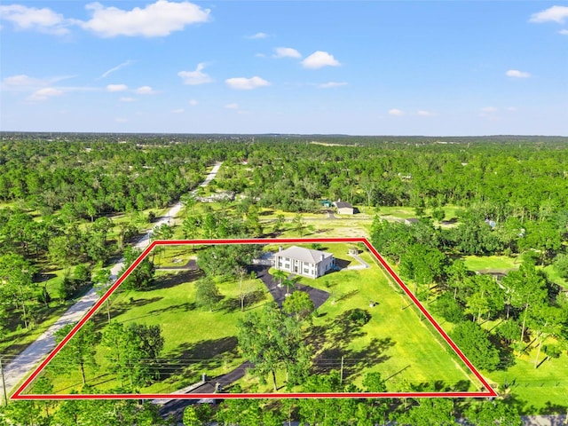 14485 Switch Back Rd, Brooksville, FL 34609 - aerial overview of property's location with a heavily wooded area and property parcel outlined