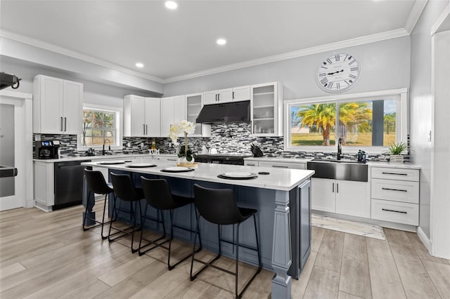 14485 Switch Back Rd, Brooksville, FL 34609 - kitchen with under cabinet range hood, a sink, a breakfast bar area, a center island, and light countertops