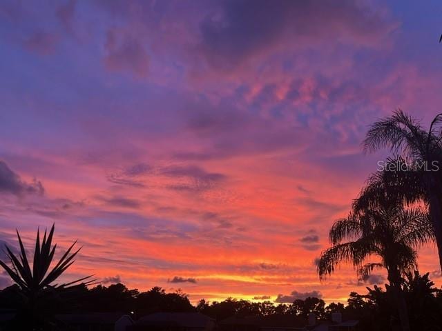 8231 Coral Creek Loop, Hudson, FL 34667 - view of nature at dusk