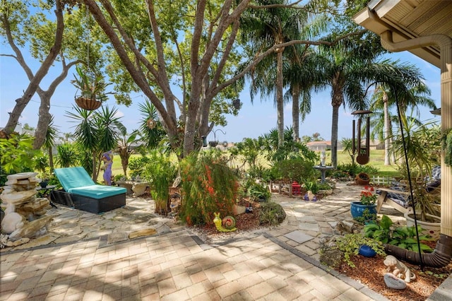 8231 Coral Creek Loop, Hudson, FL 34667 - view of patio