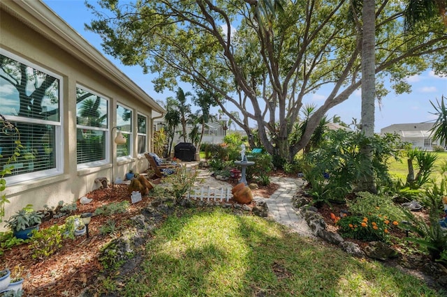 8231 Coral Creek Loop, Hudson, FL 34667 - view of yard with a patio
