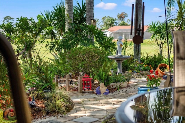 8231 Coral Creek Loop, Hudson, FL 34667 - view of yard