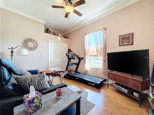 exercise area featuring a textured ceiling, light hardwood / wood-style floors, ceiling fan, and crown molding