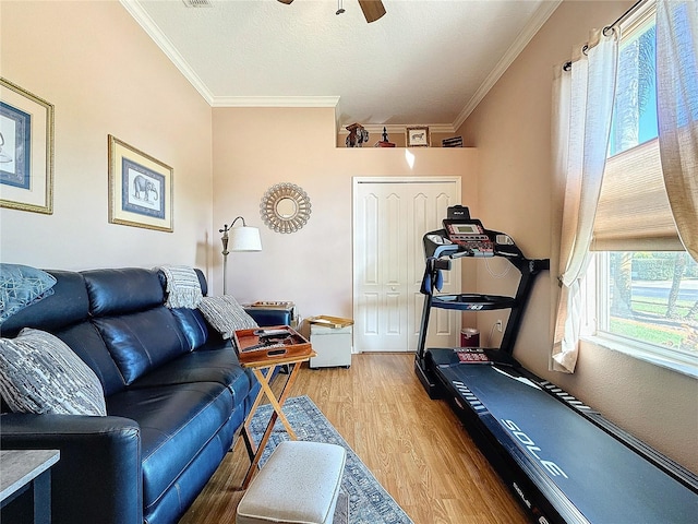 exercise area with hardwood / wood-style floors, ceiling fan, and crown molding