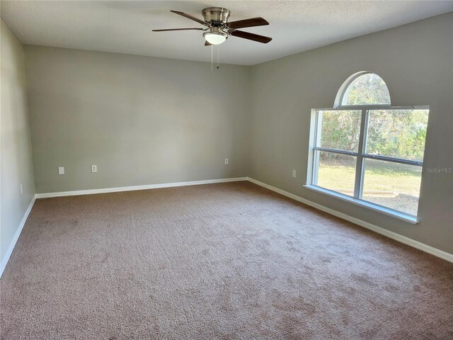 carpeted spare room with ceiling fan and plenty of natural light