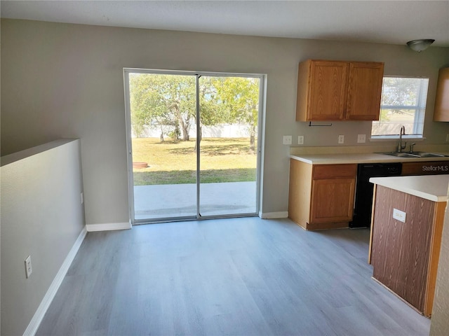 kitchen with dishwasher, light hardwood / wood-style flooring, and sink