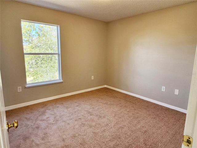 empty room featuring carpet, a textured ceiling, and plenty of natural light