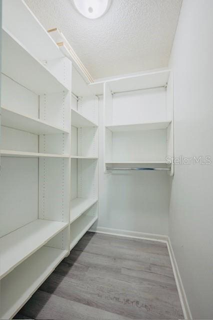 spacious closet featuring hardwood / wood-style flooring