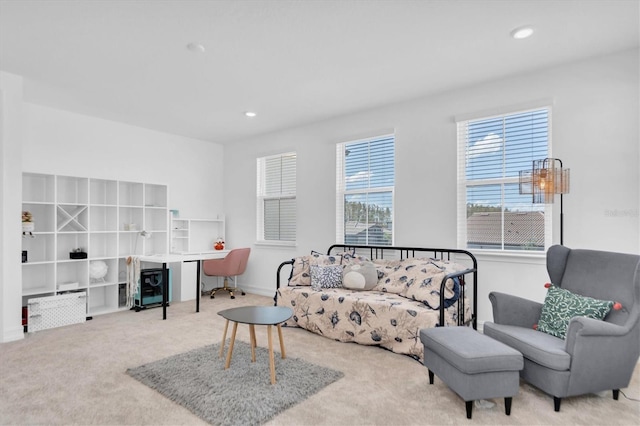 living room featuring carpet flooring