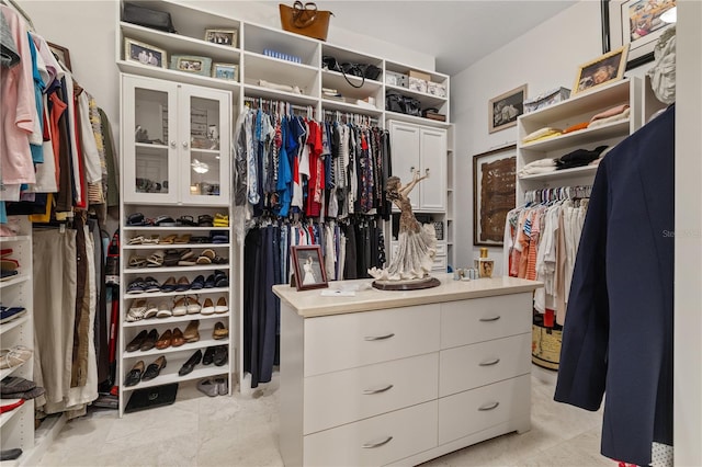 view of spacious closet