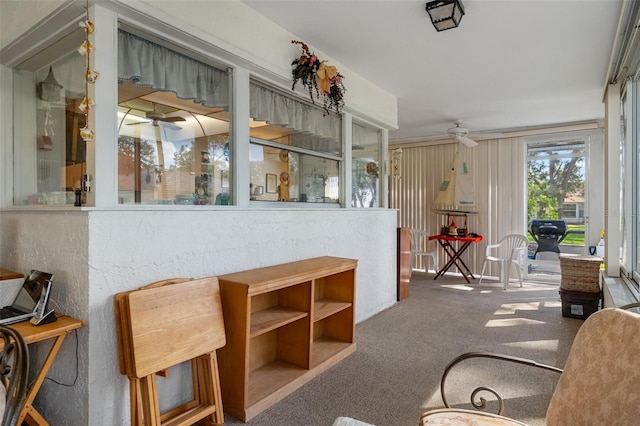 bar featuring carpet flooring and ceiling fan