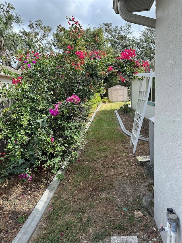 view of yard with a storage shed