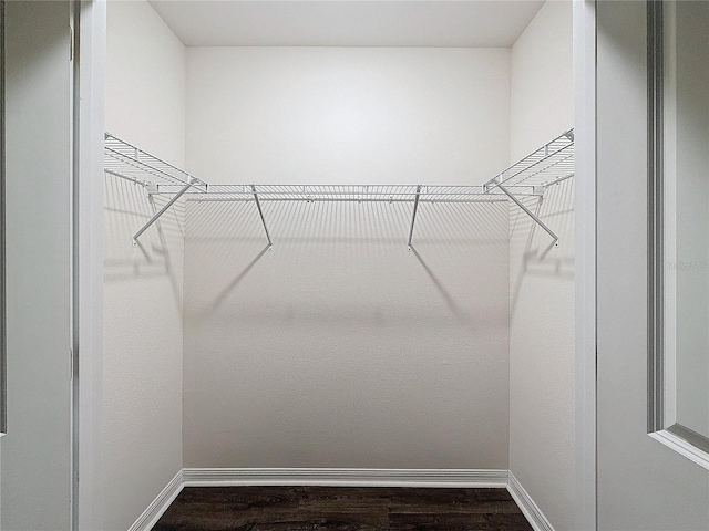 spacious closet with hardwood / wood-style flooring