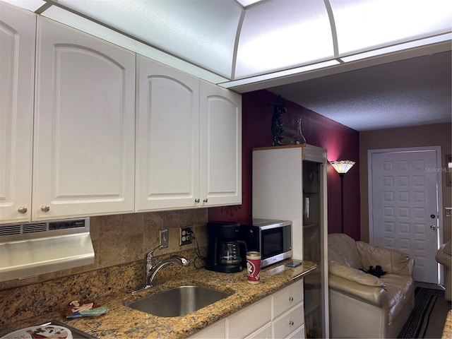 20857 Haulover Cv Unit B-13, Lutz, FL 33558 - kitchen featuring a sink, white cabinetry, stainless steel microwave, and light stone counters