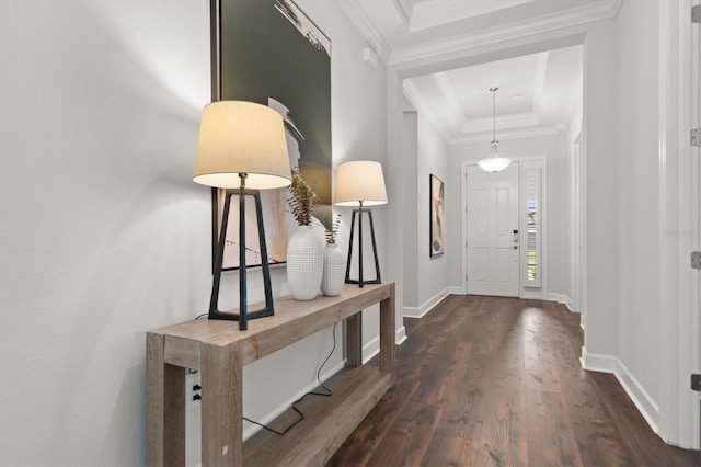 entrance foyer featuring dark hardwood / wood-style floors, crown molding, and a tray ceiling