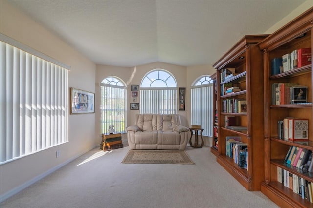 sitting room featuring lofted ceiling and carpet floors