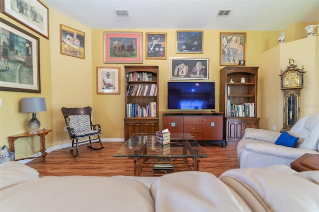 living room featuring wood-type flooring