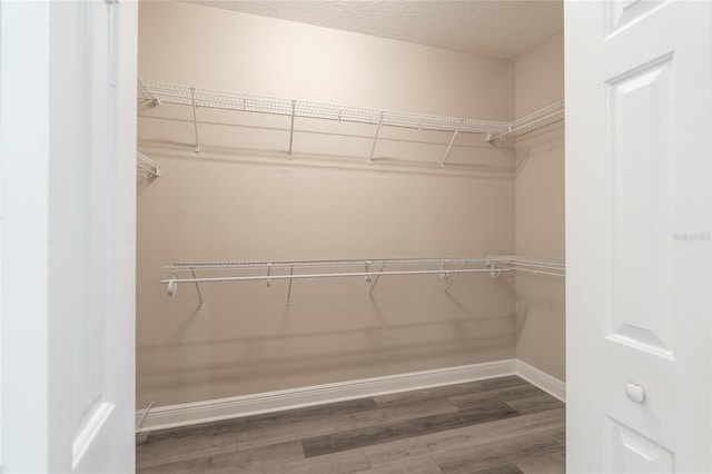 walk in closet with dark wood-type flooring