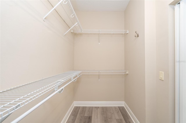 walk in closet featuring hardwood / wood-style floors