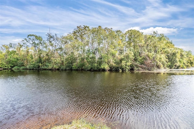 property view of water