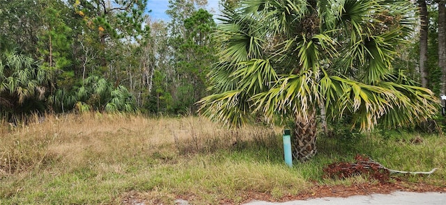 Listing photo 3 for LOT285 Cutlass Dr, Hudson FL 34667