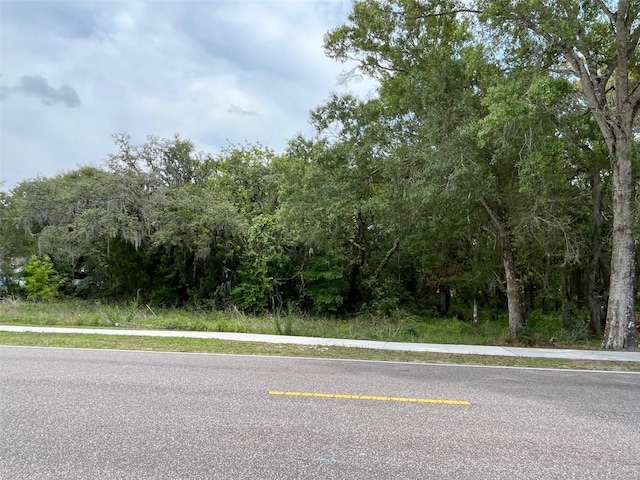 12120 Hicks Rd, Hudson FL, 34669 land for sale