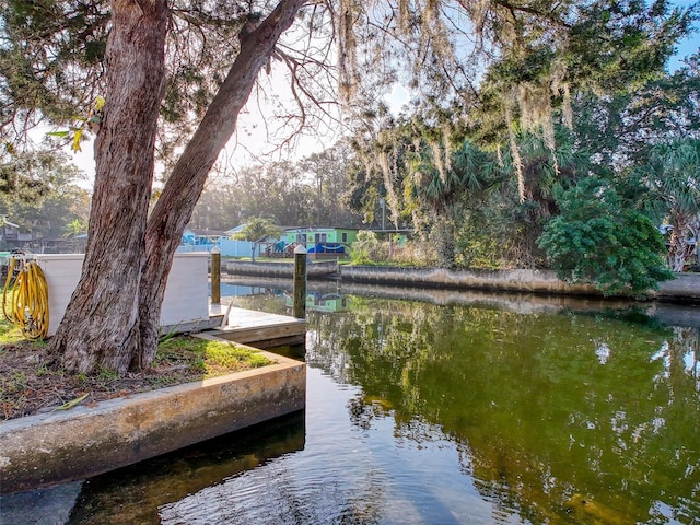 dock featuring a water view