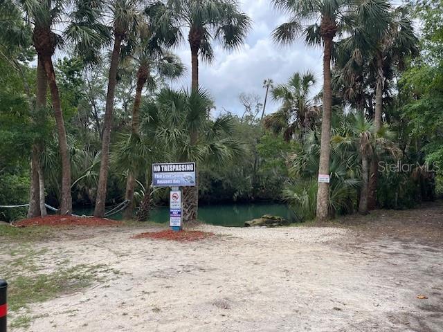 6176 Island Dr, Weeki Wachee, FL 34607 - photo 56