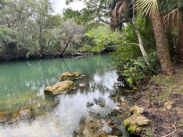 6176 Island Dr, Weeki Wachee, FL 34607 - photo 59