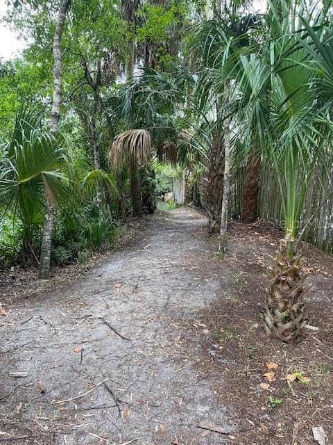 6176 Island Dr, Weeki Wachee, FL 34607 - photo 60