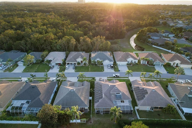 2533 Wood Pointe Dr, Holiday, FL 34691 - aerial perspective of suburban area with a forest