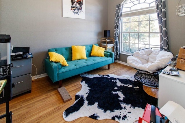 living room with light wood-type flooring