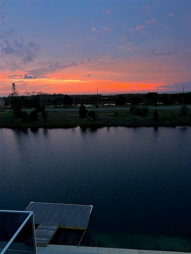 dock area with a water view