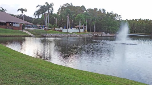 view of water feature